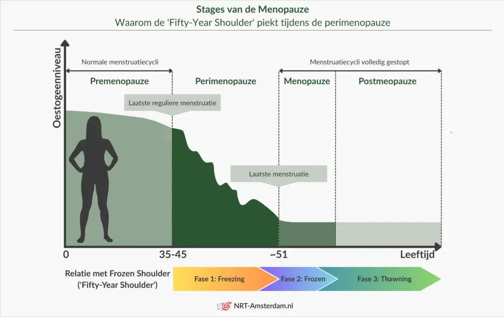 Grafiek van oestrogeendaling tijdens premenopauze, perimenopauze, menopauze en postmenopauze.
