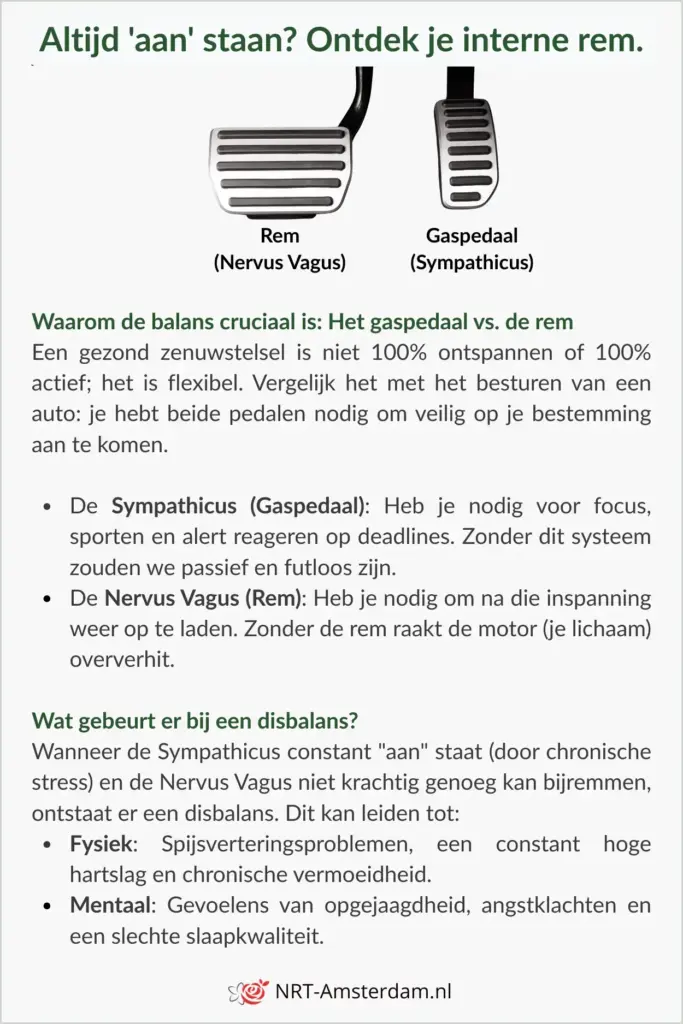 interne-rem-zenuwstelsel-ontspannen | NRT-Amsterdam.nl Visuele weergave van een overprikkeld zenuwstelsel en hoe de interne rem helpt bij slapeloosheid.