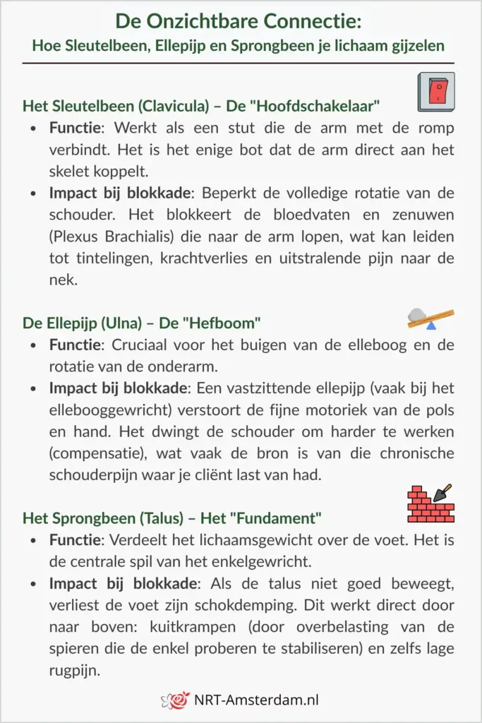 Illustratie van de kinetische keten tussen het sleutelbeen, de ellepijp en het sprongbeen bij chronische pijn.